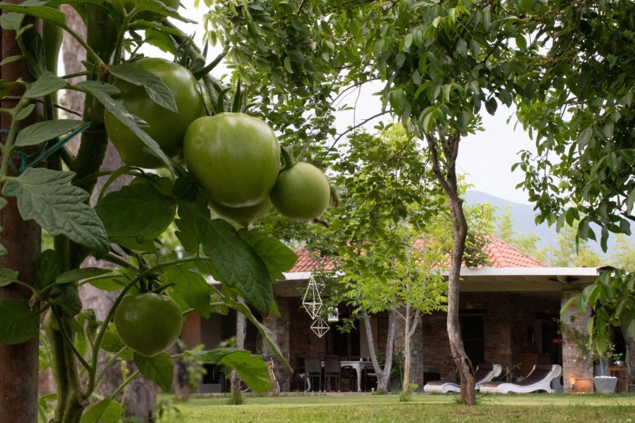 Sinanis Garden House Lägenhet Volos Exteriör bild