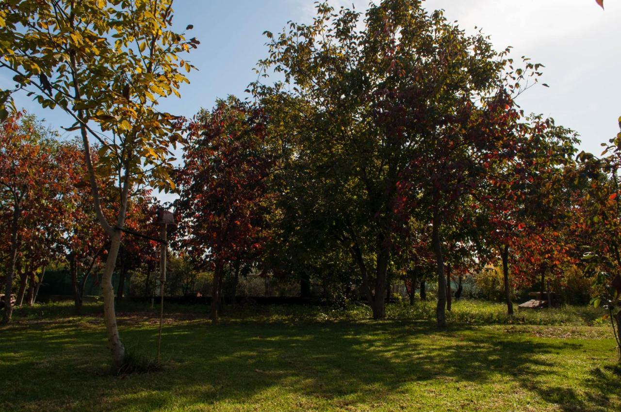 Sinanis Garden House Lägenhet Volos Exteriör bild